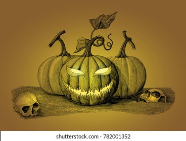 Halloween day concept hand drawing vintage style with human skull on ground
