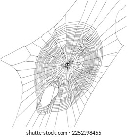 Halloween decor, net spider cobweb, hand drawn vector illustration.