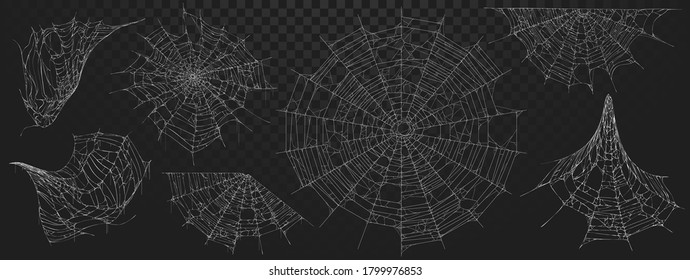 Halloween decor, spider cobweb, hand drawn vector illustration.	
