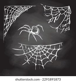 Halloween decor, spider, spider cobwebs, hand drawn vector illustration isolated on chalkboard  background. Vintage, doodle sketch.