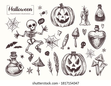  Decoración de Halloween. Mano de vectores dibujada. Dibujo de línea. Ilustración de esbozo. Colección de elementos: esqueleto, calabaza, vela, huesos, telaraña, setas, veneno, murciélagos.