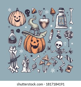 Halloween. Halloween decor. Vector Hand Drawn. Line art. Sketch Illustration. Collection of elements: skeleton, pumpkin, candle, bones, spider web, mushrooms, potion, poison, bats.