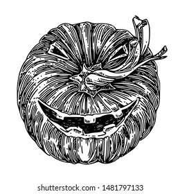Halloween. Decorative pumpkin with a smiling face. Sketch. Engraving style. Vector illustration.