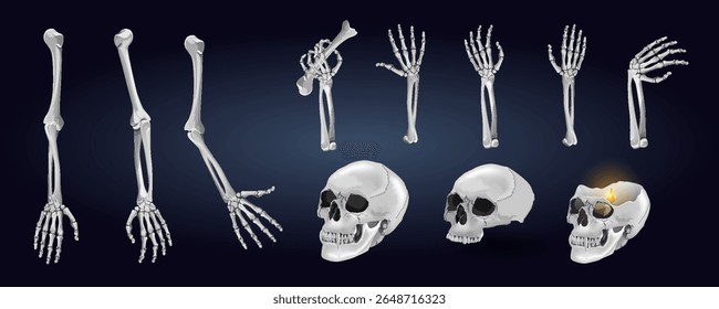 Halloween design elements. Pair of skeleton hands pointing with a finger and holding a banner. linear drawing isolated on white background. EPS10 vector illustration