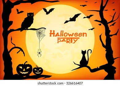 Halloween  design - witch, pumpkins, spider and bats on orange moon background