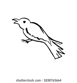 Halloween doodle crow or magpie bird element. Isolated vector illustration for horror design
