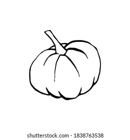 Elemento de calabaza de doodle de Halloween. Ilustración vectorial aislada para diseño vacacional