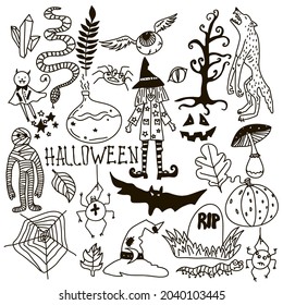 Halloween Doodle Set. Holiday Hand Drawn Vector Illustration with Pumpkins, Jack o Lantern, Skulls, Witch, Ghost, Bat, Candies, Black Cat, Werevolf, Spiders and so one.