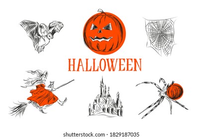 Halloween drawn pumpkin orange for the holiday spider web and spider witch on a broomstick castle flying mouse black and white for design elements use