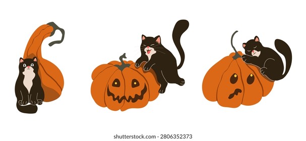 Halloween elements collection set with cute black cats and orange pumpkins. Spooky festive icons with jack o lanterns and sleeping kittens isolated on white background. Vector illustration.