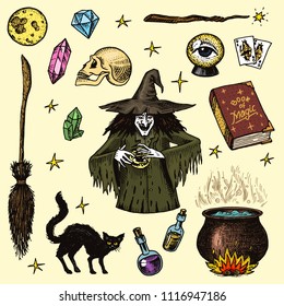 Halloween elements. Magic ball, witch with book of spells, cursed black cat, beldam and sorcery, hag or hex, potion and cauldron, skull and fortune-telling cards. Hand drawn engraved vintage sketch.