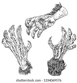 Halloween engraving drawings set of monsters hands, werewolf, witch, zombie, dragon, and vampire hands isolated on white background. Vector.
