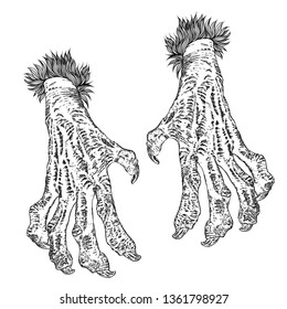 Halloween engraving drawings set of monsters hands, werewolf, witch, zombie, dragon, and vampire hands isolated on white background. Vector.