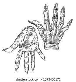 Halloween engraving drawings set of monsters hands, werewolf, witch, zombie, dragon, and vampire hands isolated on white background. Vector.