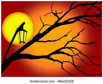 Halloween evening vector background with silhouette tree branches and lamp 