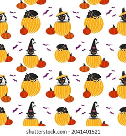 Halloween fancy minimal style vector seamless pattern. Black Halloween cat in pumpkin design element. Little kitten in witch hat, pumpkins, bats cartoon illustration. October holiday greeting template