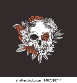 Halloween floral butterfly vintage skull illustration. Human skeleton. Vector illustration