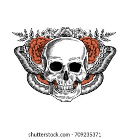 Halloween floral butterfly vintage skull illustration. Human skeleton. Vector illustration