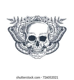 Halloween floral butterfly vintage skull illustration. Human skeleton. Vector illustration