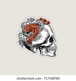 Halloween floral vintage skull illustration. Human skeleton. Vector illustration