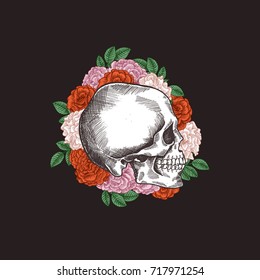 Halloween floral vintage skull illustration. Human skeleton. Vector illustration