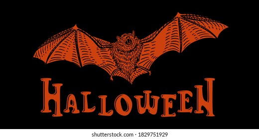 Halloween flying bat on black background sketch vintage retro detailed engraved style illustration poster template