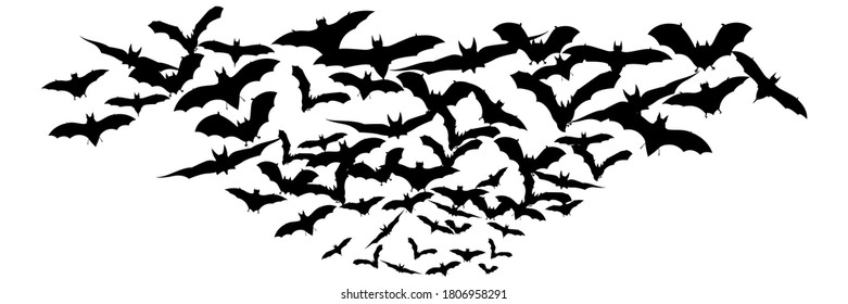 Halloween flying bats. Decoration element from scattered silhouettes. Vector illustration