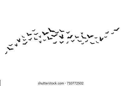 Halloween flying bats. Decoration element from scattered silhouettes. Horizontal divider