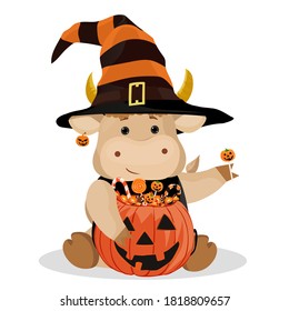 Halloween. Funny bull and pumpkin. Vector illustration. Isolated on a white background.