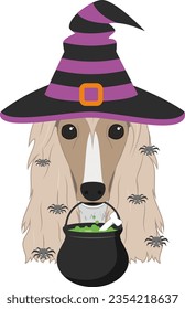 Tarjeta de saludo de Halloween. Perro del perro sabueso afgano vestido de bruja con sombrero negro y púrpura, caldero en la boca y arañas cayendo del pelo