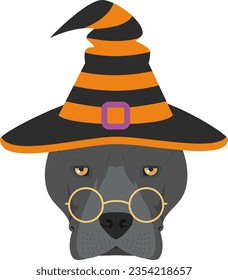 Tarjeta de saludo de Halloween. Perro americano Staffordshire Terrier vestido de bruja con gafas y sombrero negro y naranja