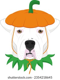 Halloween greeting card. Argentinian Dogo dog dressed as a pumpkin