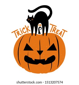 Halloween Greeting Card With Black Cat And Orange Pumpkin. Trick Or Treat Lettering Words. Vector Illustration Isolated On White Background, Colored Typography Poster With Pet