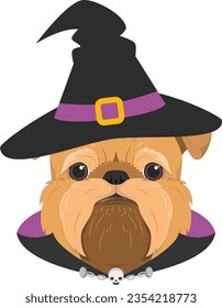 Halloween greeting card. Brussels Griffon dog dressed as a witch with black hat, purple and black cape, and a little chain necklace with a skull