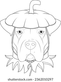 Halloween greeting card for coloring. Argentinian Dogo dog dressed as a pumpkin