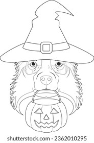 Halloween greeting card for coloring. Australian Sheperd dog dressed as a witch with hat and a pumpkin in the mouth