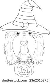 Halloween greeting card for coloring. Bearded Collie dog dressed as a witch with hat and a pumpkin with candies in the mouth