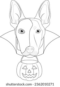 Halloween greeting card for coloring. Belgian Sheperd Malinois dog with a half mask over his face, cape and a pumpkin in the mouth 