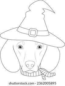 Halloween greeting card for coloring. Dachshund dog dressed as a witch with hat and scarf