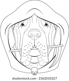 Halloween greeting card for coloring. English Mastiff dog dressed with hood and a small scythe in the mouth
