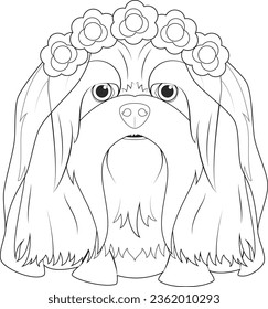 Halloween greeting card for coloring  Lhasa Apso dog dressed as ghost and flowers his head   wedding veil
