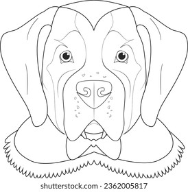 Halloween greeting card for coloring. Saint Bernard dog dressed as a vampire with fangs and cape