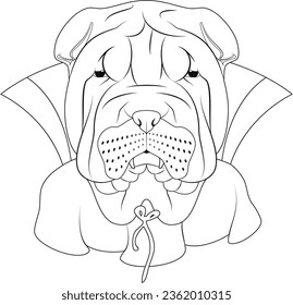 Halloween greeting card for coloring. Shar Pei dog dressed as a vampire with fangs and cape