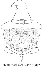 Halloween greeting card for coloring. Spanish Water dog dressed as a witch or a wizard with glasses, hat and robe