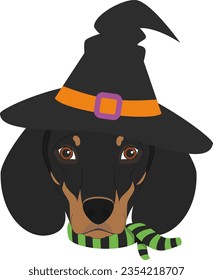 Halloween greeting card. Dachshund dog dressed as a witch with black hat and green and black scarf