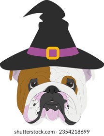 Halloween greeting card. English Bulldog dog dressed as a witch with black hat