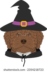 Halloween greeting card. Spanish Water dog dressed as a witch or a wizard with glasses, black hat and black robe