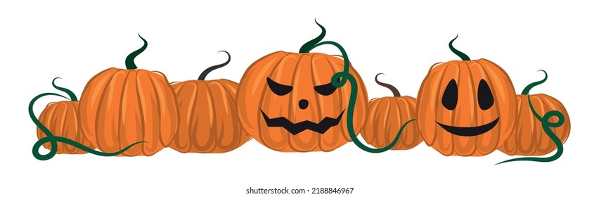 Halloween greeting of the dead, orange pumpkins on a white background - Vector illustration