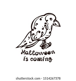 Halloween hand drawn raven with handwritten phrase isolated on white background. Inscription: Halloween is Coming