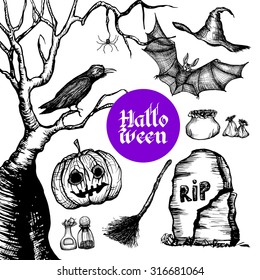 Halloween hand drawn set with pumpkin bat witch hat isolated vector illustration